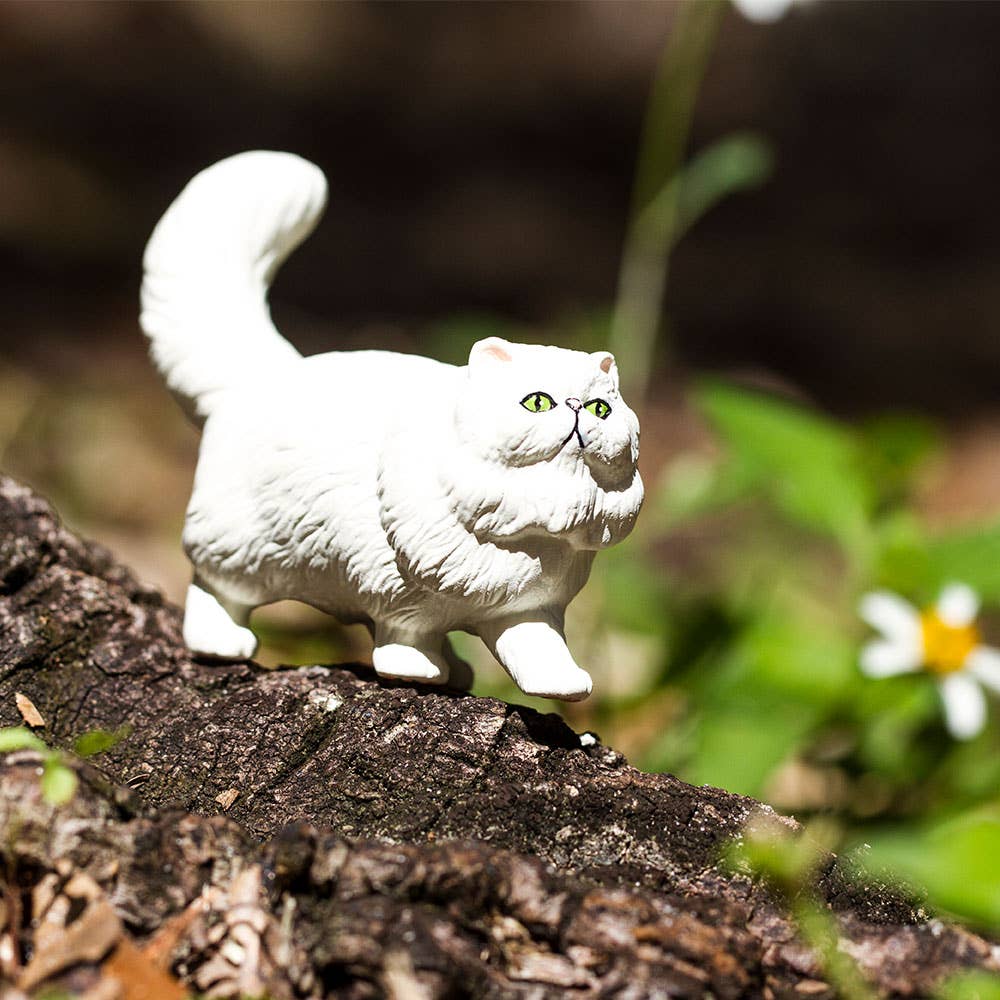 Persian Cat