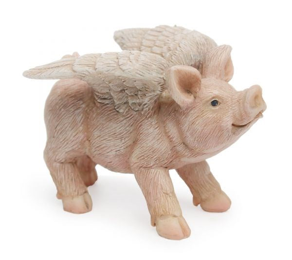 Flying Pig