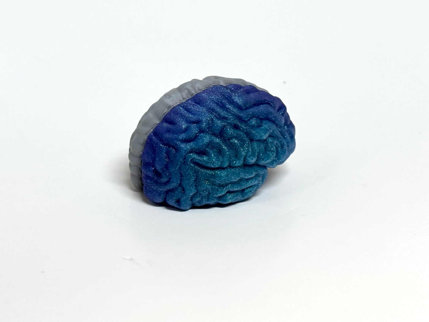 Left/Right Brain