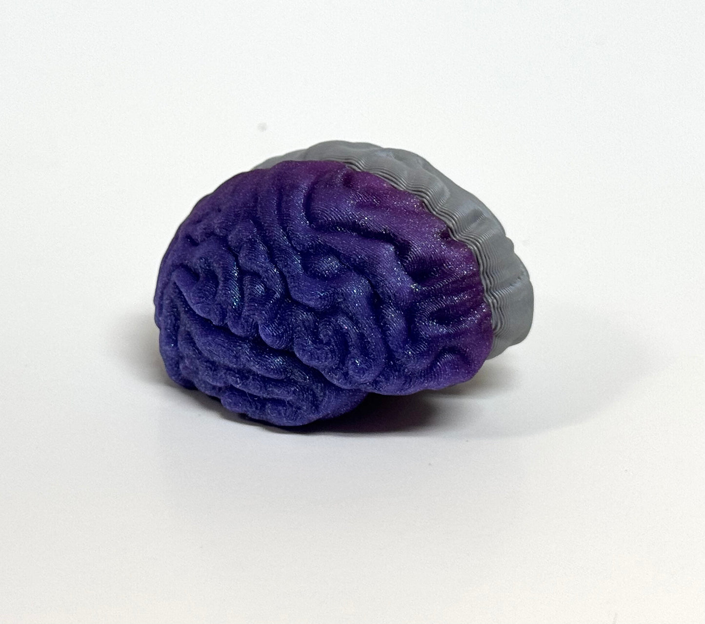 Left/Right Brain