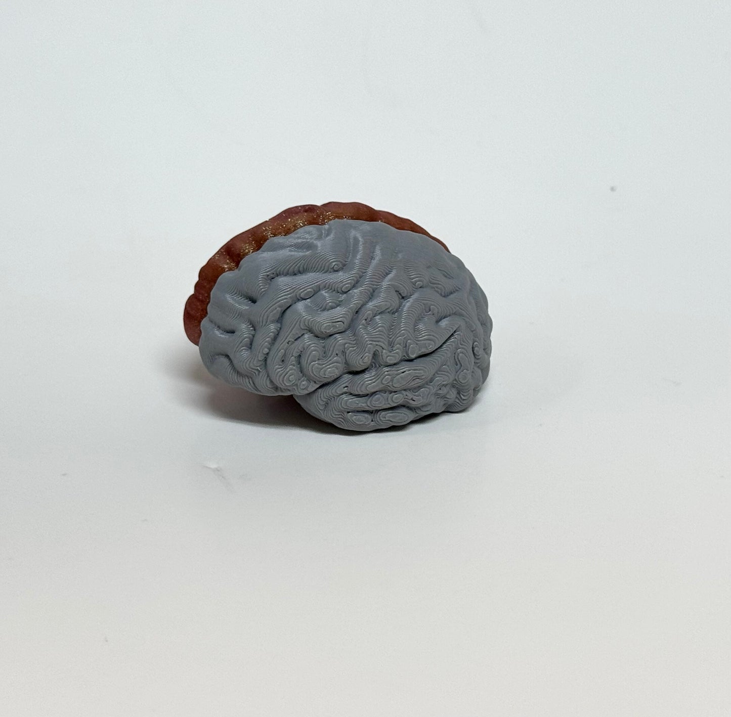 Left/Right Brain