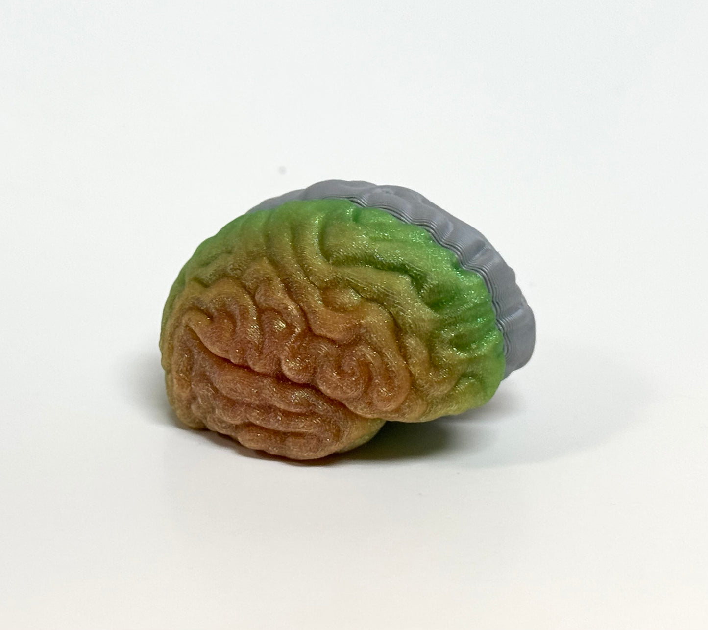 Left/Right Brain