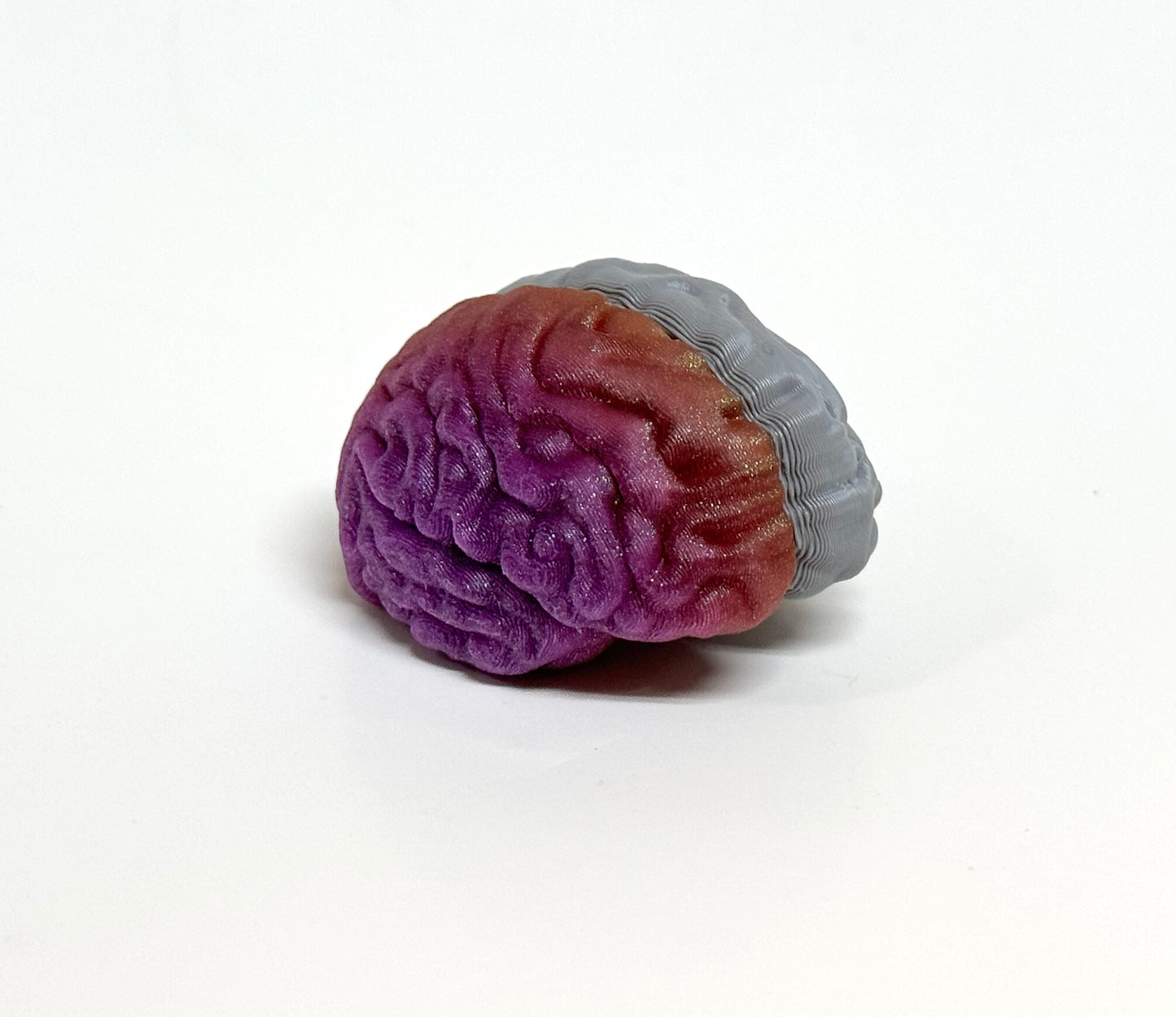 Left/Right Brain