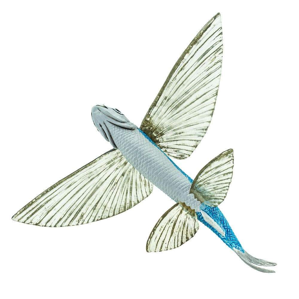 Flying Fish