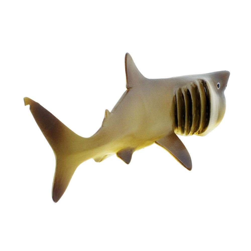 Basking Shark