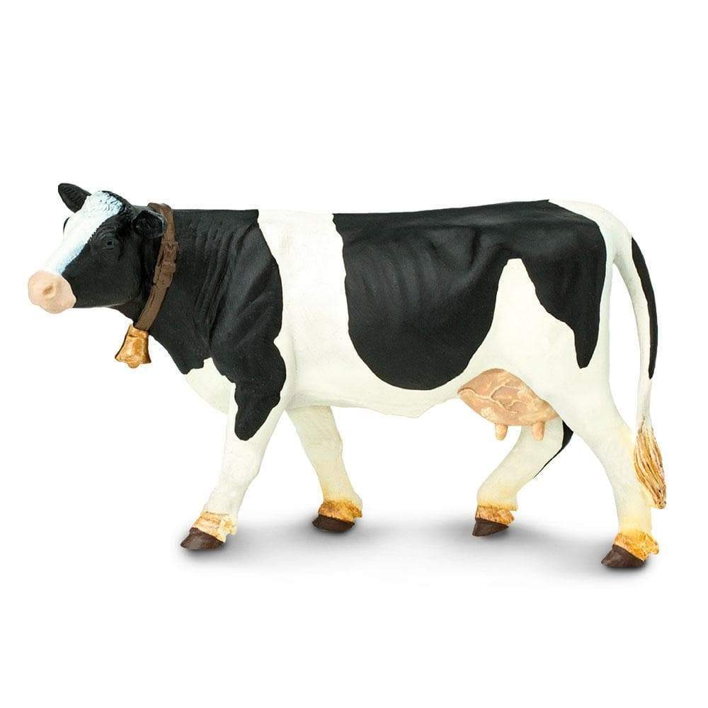 Holstein Cow 🐄