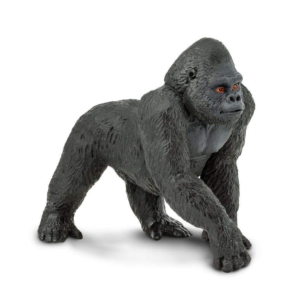 Lowland Gorilla 🦍