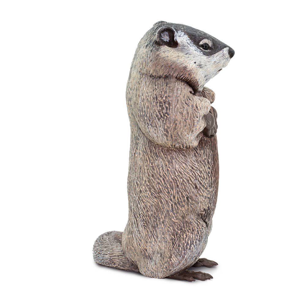 Groundhog