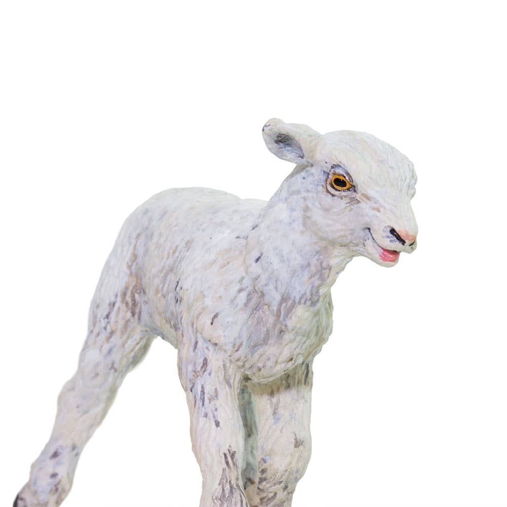 Lamb