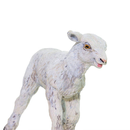 Lamb