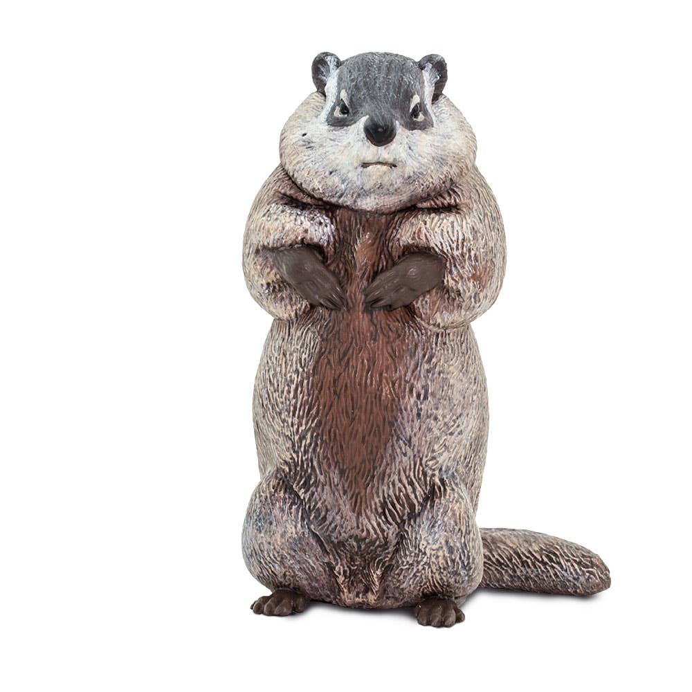 Groundhog