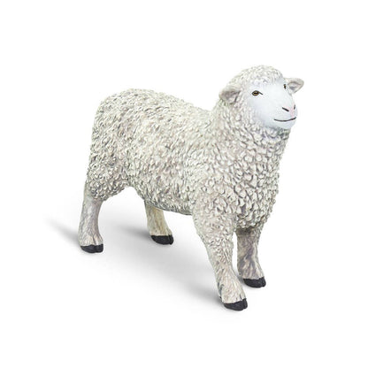 White Sheep