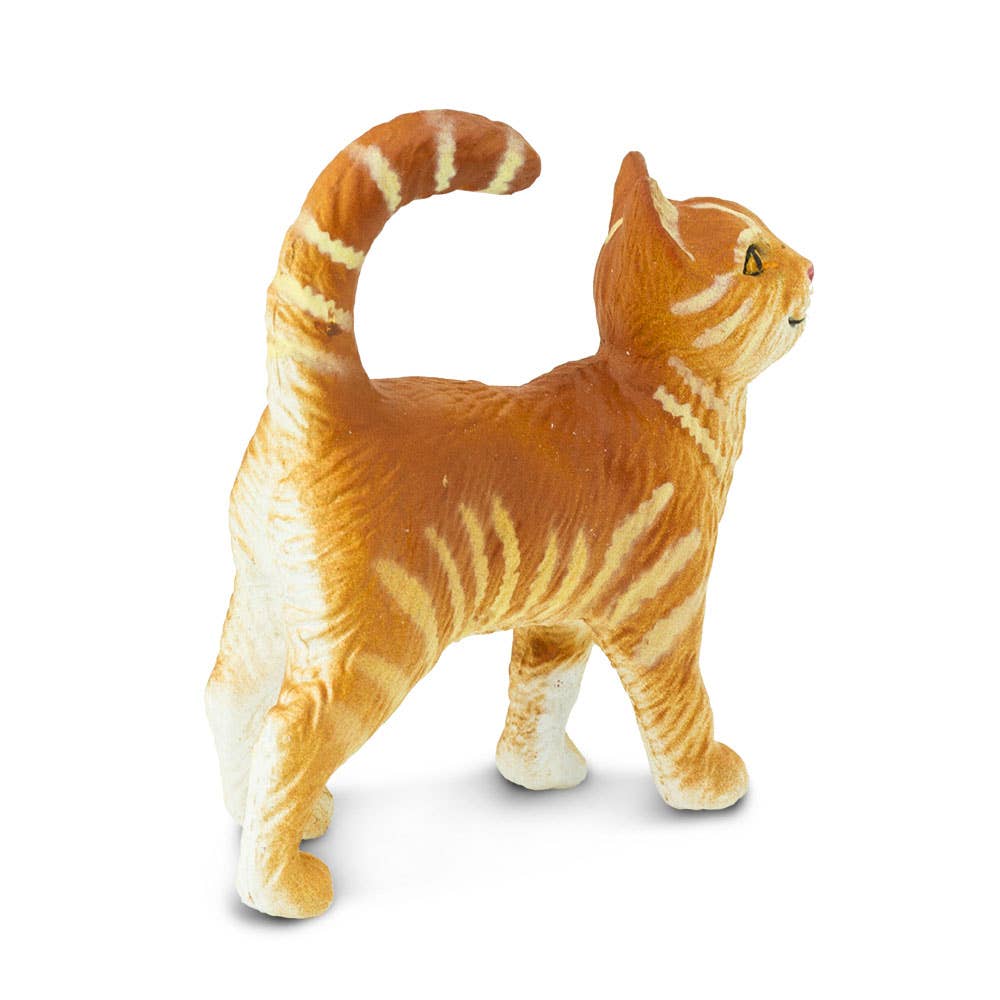 Orange Tabby Cat