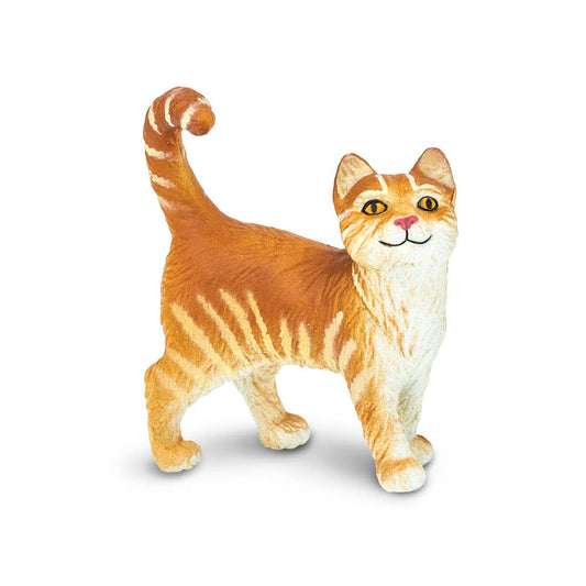 Orange Tabby Cat
