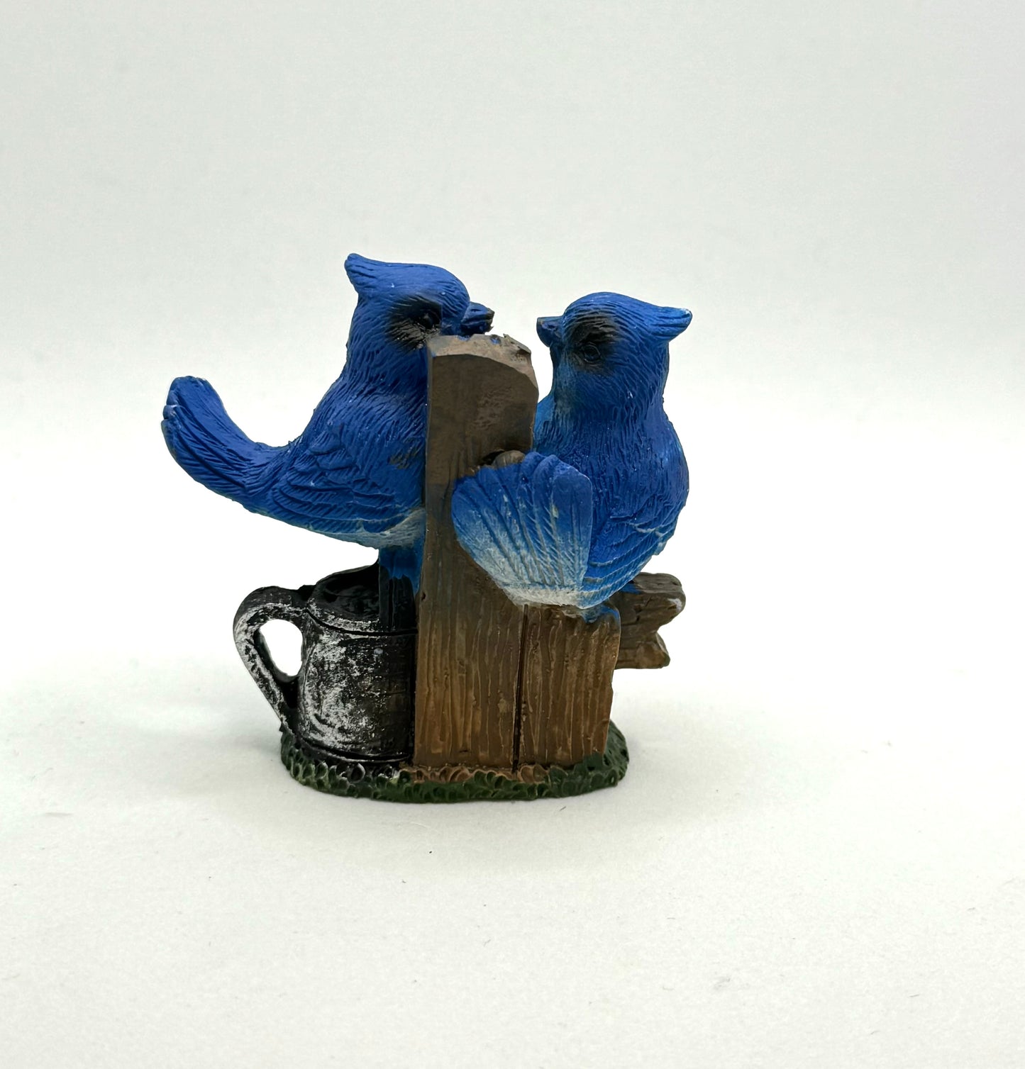 Blue Birds Perched