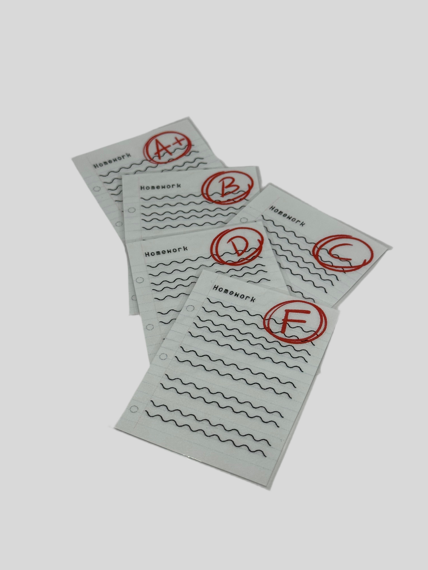 School Bundle