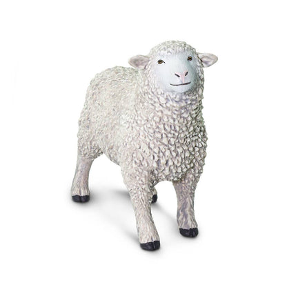 White Sheep
