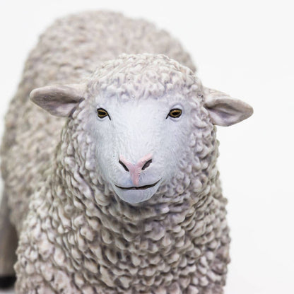 White Sheep
