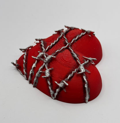 Heart Series: Barbed Wire Heart - Large - Hand painted