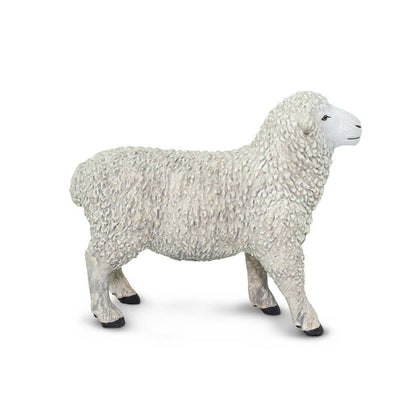 White Sheep
