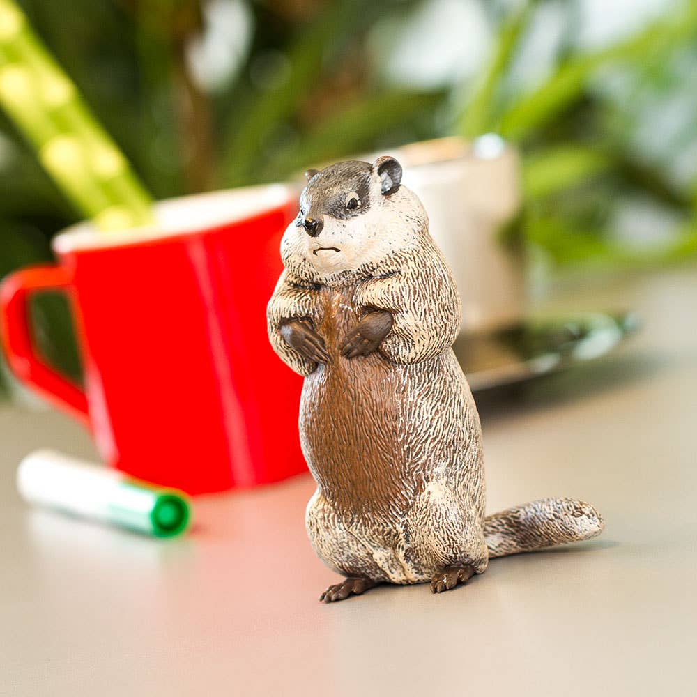Groundhog
