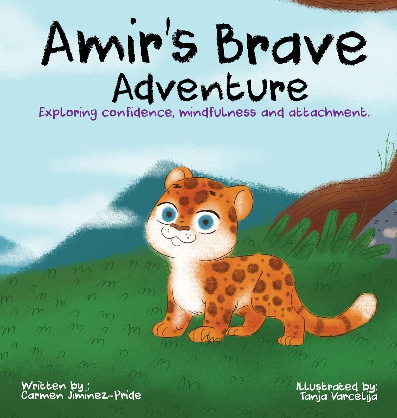 Amir’s Brave Adventure: Exploring Confidence, Mindfulness, and Attachment (Hardcover Book)