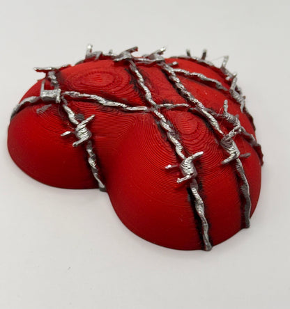 Heart Series: Barbed Wire Heart - Large - Hand painted