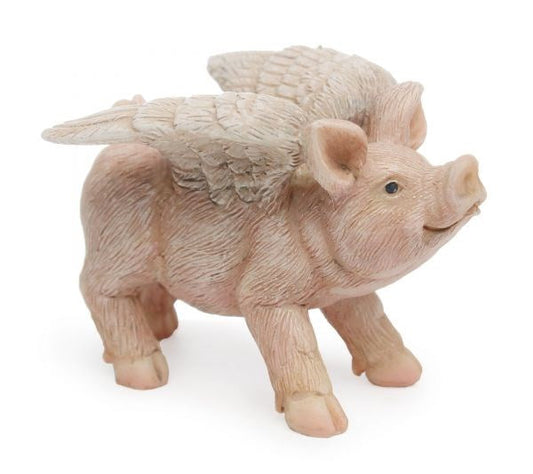 Flying Pig