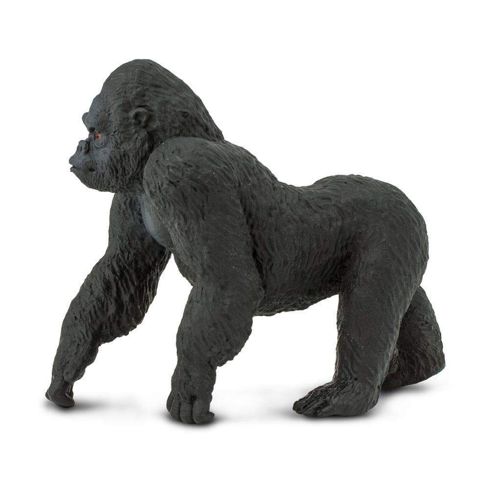 Lowland Gorilla 🦍