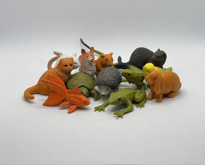 Pet Bundle