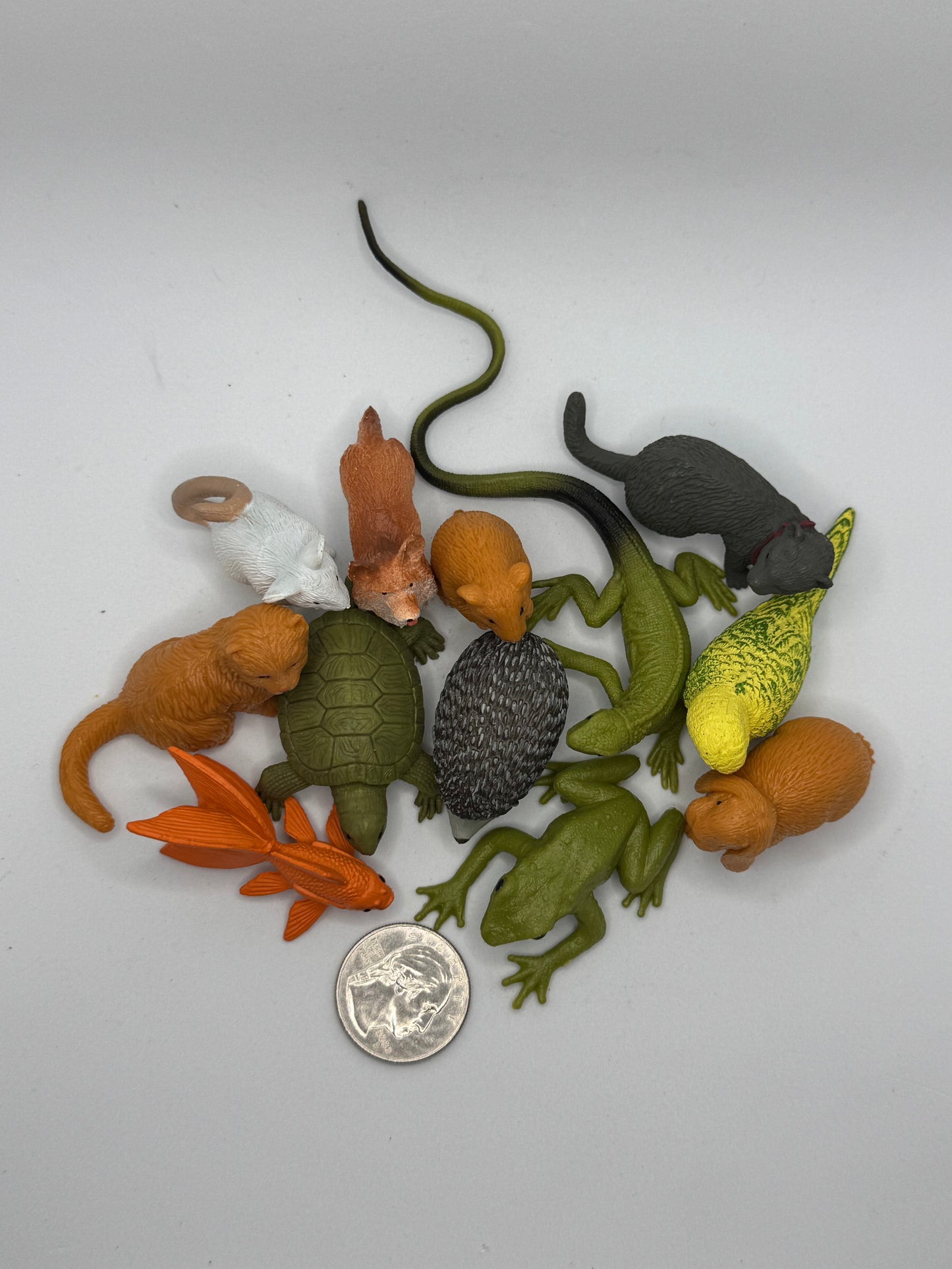 Pet Bundle