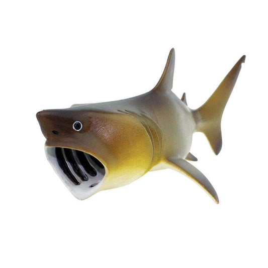 Basking Shark