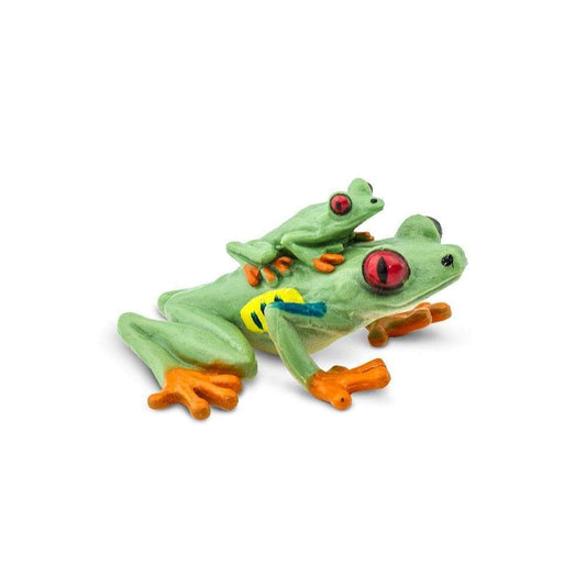 Red Eyed Tree Frog with Baby