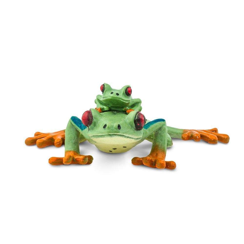 Red Eyed Tree Frog with Baby
