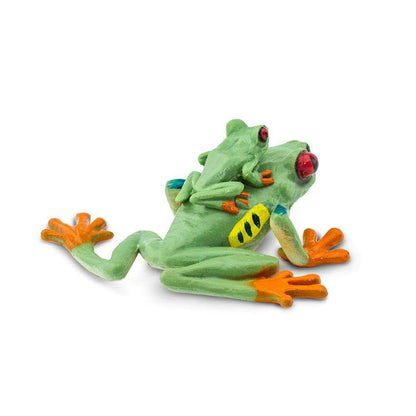 Red Eyed Tree Frog with Baby