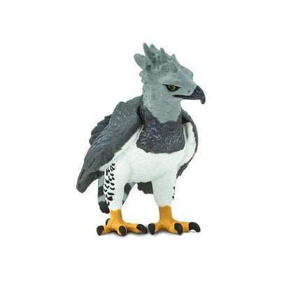 Harpy Eagle
