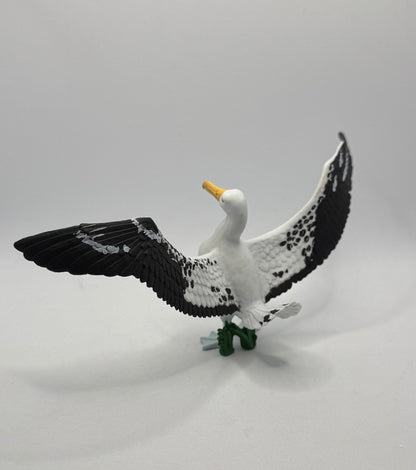 Giant Albatross