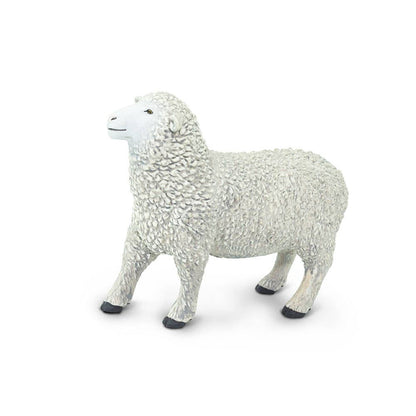 White Sheep