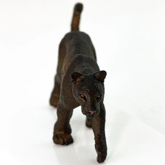 Black Jaguar