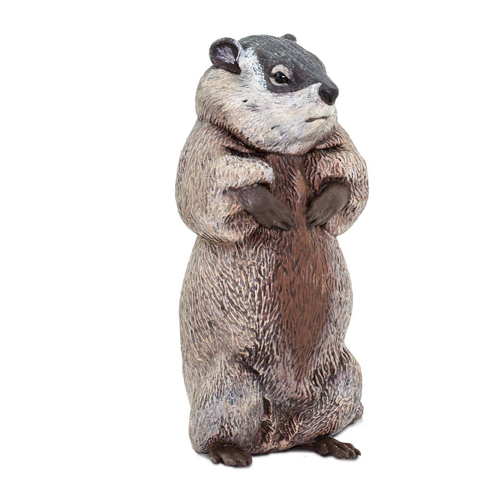 Groundhog