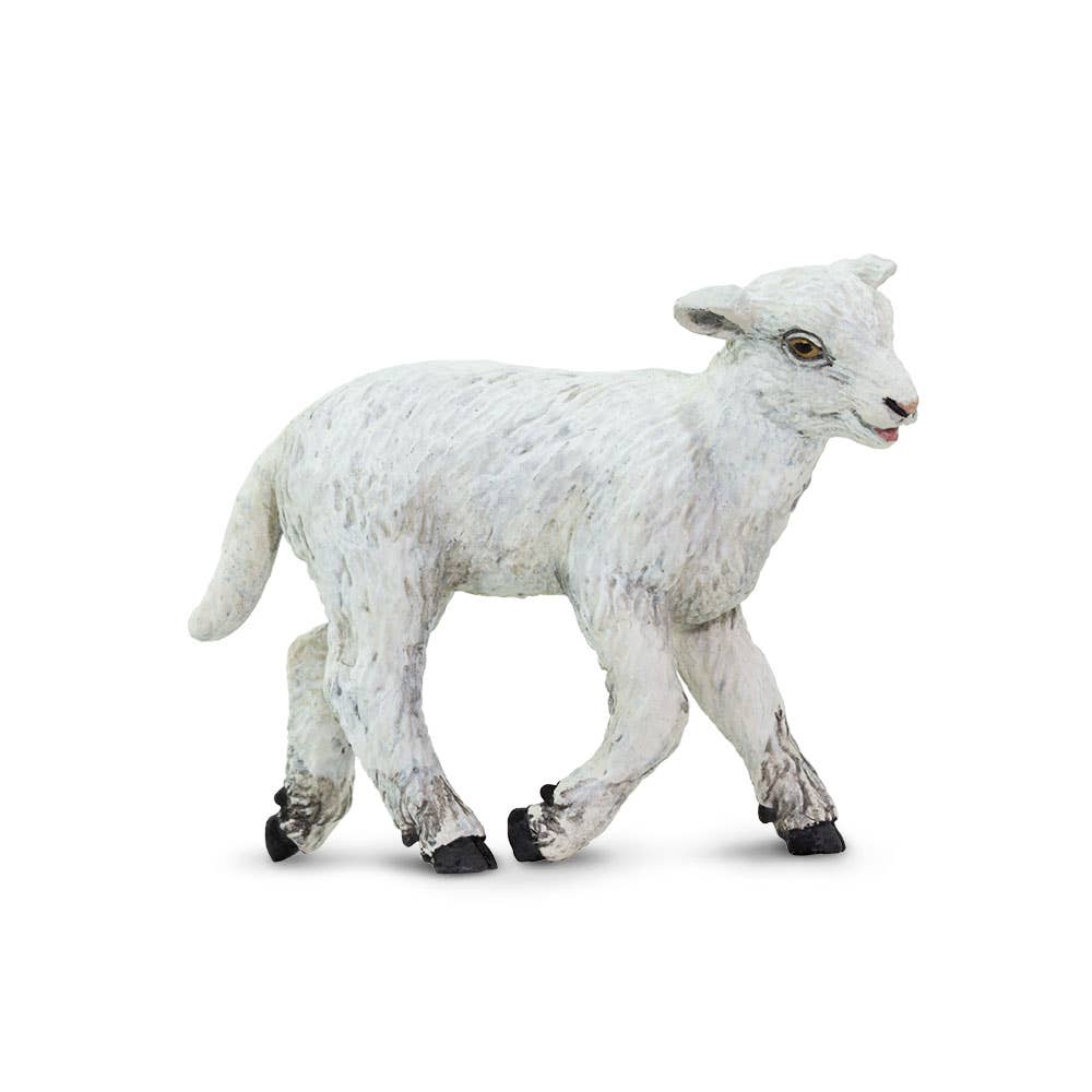 Lamb