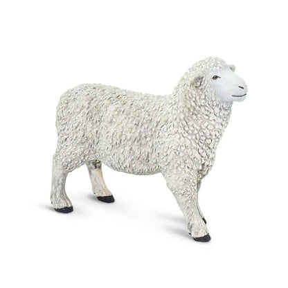 White Sheep