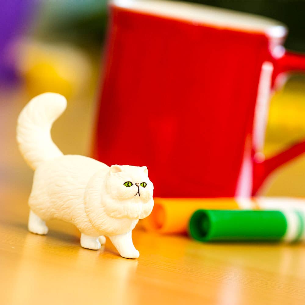 Persian Cat