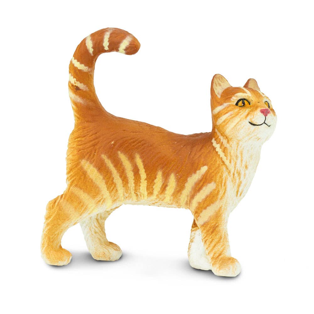 Orange Tabby Cat