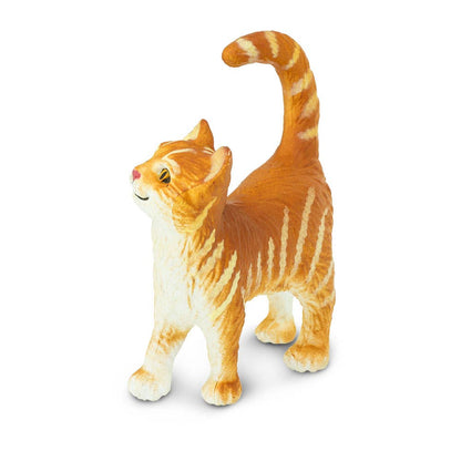 Orange Tabby Cat
