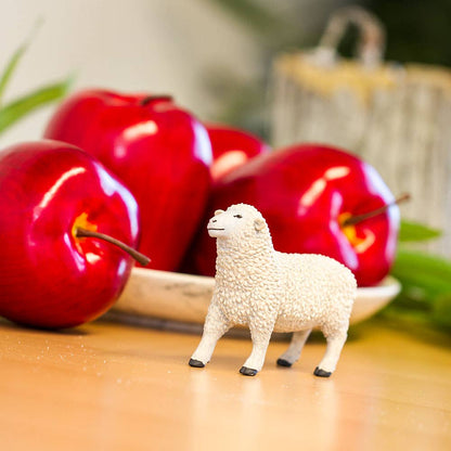 White Sheep