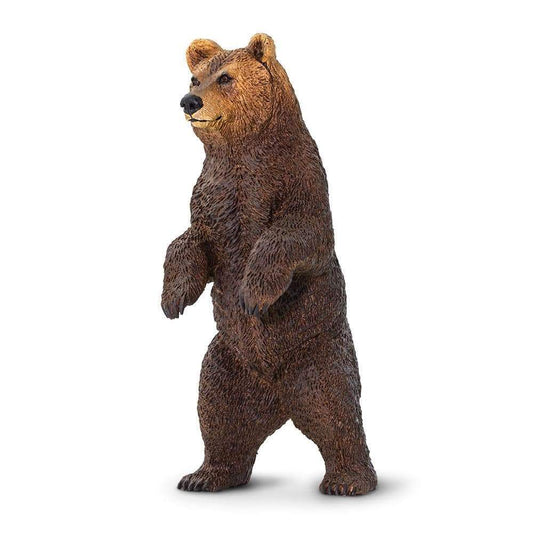 Grizzly Bear