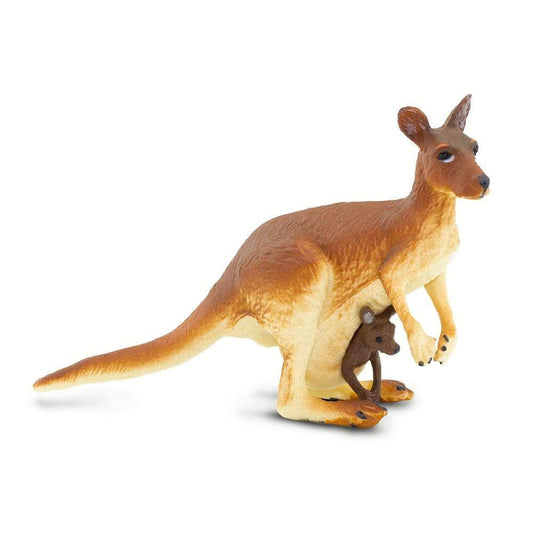 Kangaroo with baby