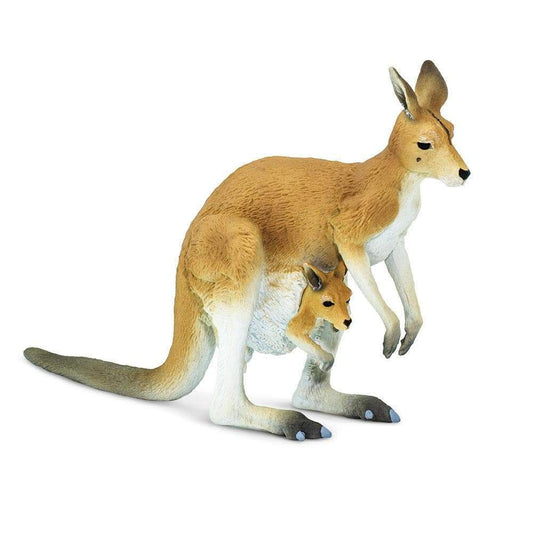 Kangaroo with Joey