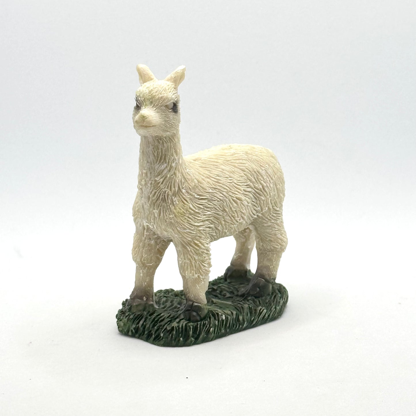 Alpaca